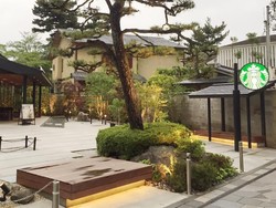 Kenapa Kopi Starbucks Bikin Terngiang-ngiang Traveling?