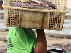 proses pembuatan ikan asin