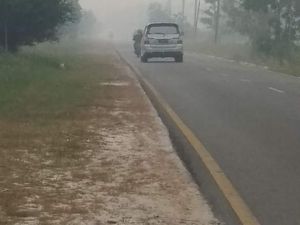 Kalteng Tetapkan Status Tanggap Darurat Bencana Karhutla