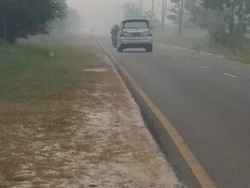 Kalteng Tetapkan Status Tanggap Darurat Bencana Karhutla