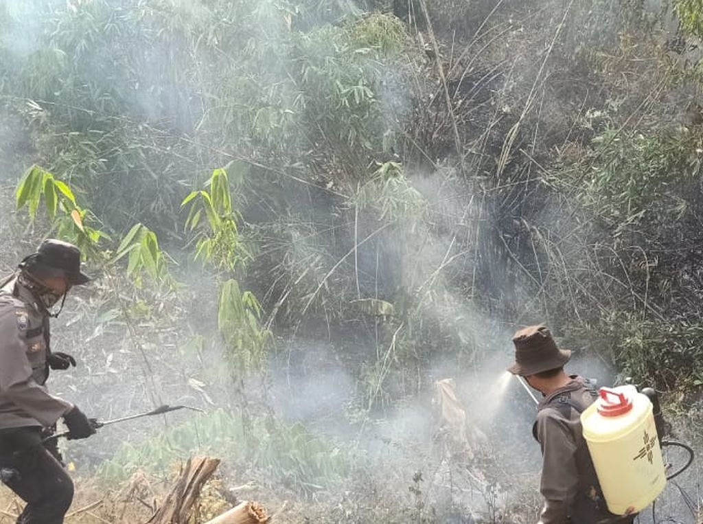 Sudah 2 Pekan, Karhutla di Sulteng Masih Belum Padam Sudah 2 Pekan, Karhutla di Sulteng Masih Belum Padam