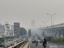 Kata Dokter Paru Soal Bayi di Sumsel Meninggal Akibat Kabut Asap