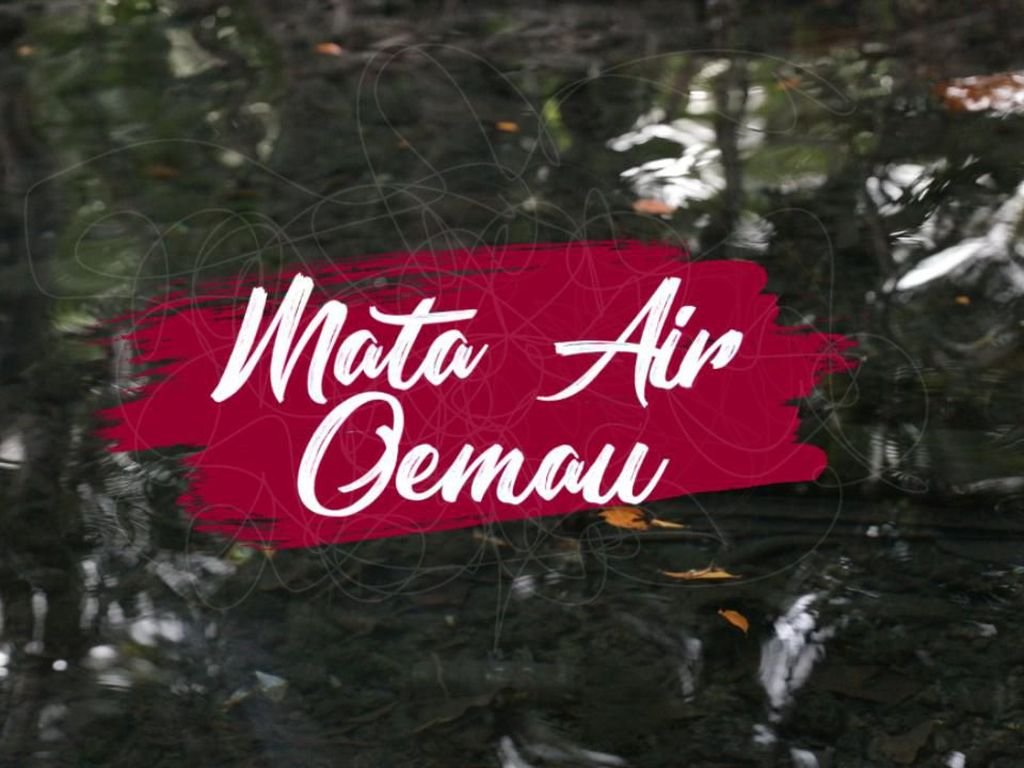 Mandi Asyik di Mata Air Paling Selatan Indonesia