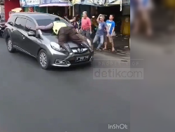 Cerita 2 Polisi Nemplok di Kap Mobil Saat Hendak Menilang