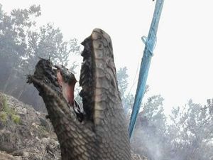 Kata Panji Petualang tentang Ular Raksasa Terbakar di Kalimantan