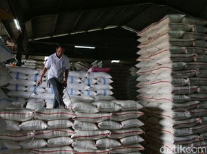 Tiap Bangun Pagi Buwas Mikirin Bunga Utang Bulog Rp 10 M/Hari!