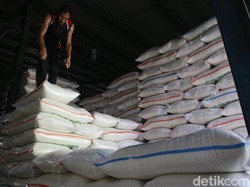 Buwas Prediksi Beras Bansos Bulog Tak Bisa Tersalur 100%