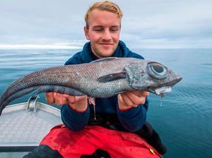 Pemancing Kaget Tangkap Ikan Dinosaurus