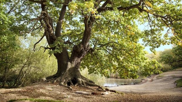7 Tempat Kabur Terdekat dari London