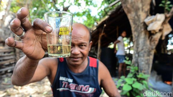 Melihat Pembuatan Sopi, Minuman Tradisional dari Pulau Rote