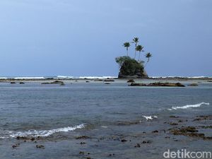 Spongebob Dilarang KPI, Ada Pulaunya di Aceh Spongebob Dilarang KPI, Ada Pulaunya di Aceh