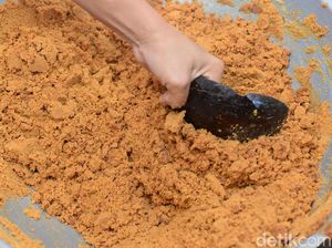 Manisnya Olahan Gula Semut dari Pohon Kehidupan Manisnya Olahan Gula Semut dari Pohon Kehidupan