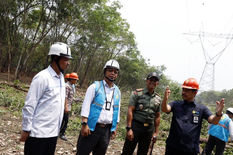 PLN Imbau Warga Jangan Tanam Pohon Keras di Bawah SUTET