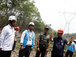 PLN Imbau Warga Jangan Tanam Pohon Keras di Bawah SUTET