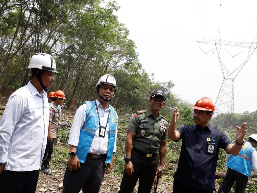 PLN Imbau Warga Jangan Tanam Pohon Keras di Bawah SUTET PLN Imbau Warga Jangan Tanam Pohon Keras di Bawah SUTET