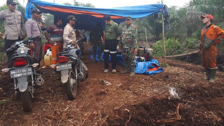 Padamkan Karhutla, Tim Gabungan Temukan Jejak Harimau di Pelalawan