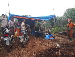 Padamkan Karhutla, Tim Gabungan Temukan Jejak Harimau di Pelalawan