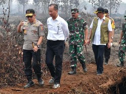 Perintah Jokowi Cegah Karhutla: Jangan Sampai Pontang-panting