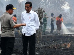 Ajukan RUU Cipta Kerja, Jokowi Hapus Pasal Sakti Penjerat Pembakar Hutan
