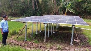 Mantul! Sinar Matahari Dipakai Sedot Air Aliri Sawah