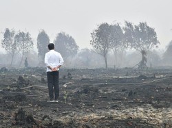 Penggugat Prihatin MA Menangkan Jokowi dari Vonis di Kasus Karhutla Kalteng