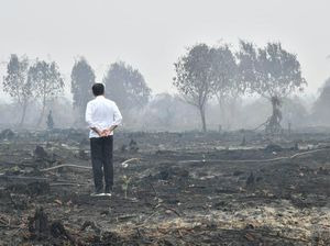 Penggugat Prihatin MA Menangkan Jokowi dari Vonis di Kasus Karhutla Kalteng Penggugat Prihatin MA Menangkan Jokowi dari Vonis di Kasus Karhutla Kalteng