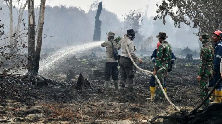Cegah Kebakaran Hutan Bisa Libatkan Warga Pakai Koperasi