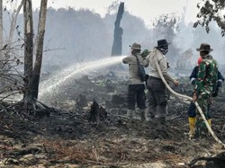 BPNB: Karhutla Total 328 Ribu Ha, Sebagian Sulit Padam karena Gambut