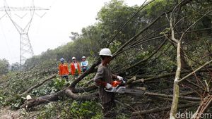Sederet Penghalang SUTET Dirobohkan, Ini Penampakannya