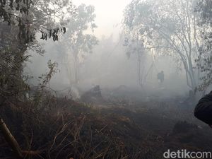 Karhutla di Antara Ikhtiar dan Doa Karhutla di Antara Ikhtiar dan Doa