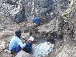 Cari Air Bersih, Warga di Gunungkidul Manfaatkan Rembesan Pohon Beringin