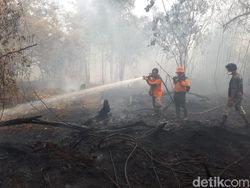 Kasus Karhutla, Bareskrim Polri Akan Panggil Bupati Pelalawan