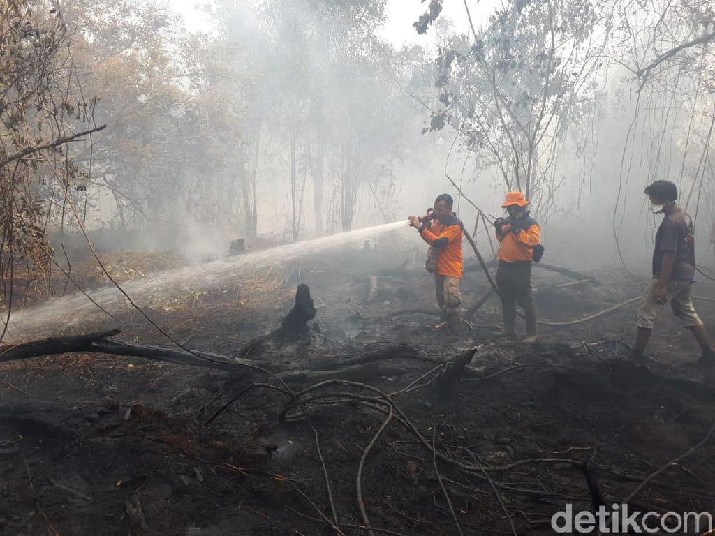 Kasus Karhutla, Bareskrim Polri Akan Panggil Bupati Pelalawan Kasus Karhutla, Bareskrim Polri Akan Panggil Bupati Pelalawan