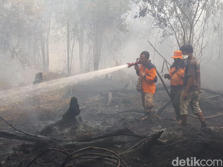 Asap Karhutla Berimbas ke Negara Tetangga, KLHK: Sudah Ditangani Asap Karhutla Berimbas ke Negara Tetangga, KLHK: Sudah Ditangani