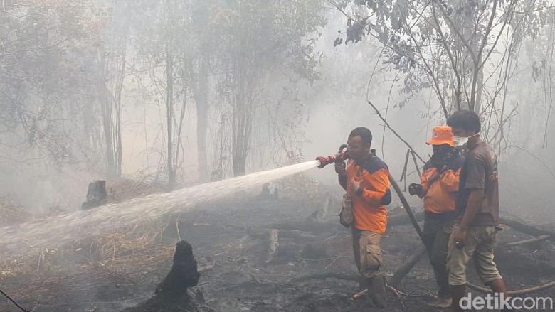 Video: 6 Provinsi Jadi Prioritas Masalah Kebakaran Hutan, Riau Darurat