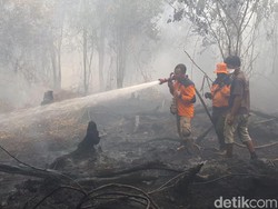 Video: 6 Provinsi Jadi Prioritas Masalah Kebakaran Hutan, Riau Darurat