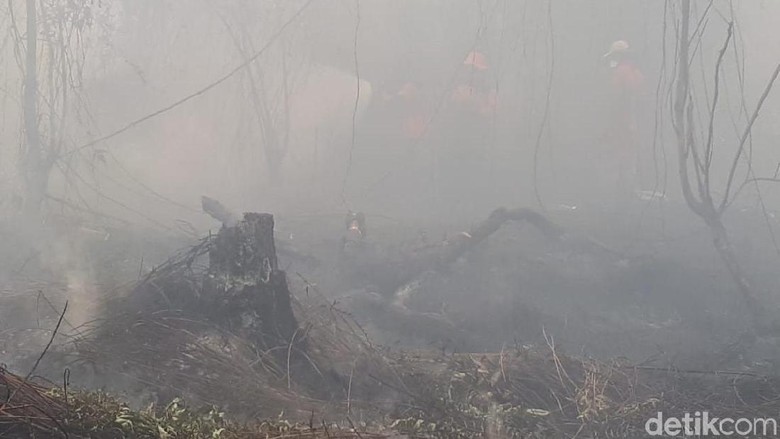 Polisi Tangkap Warga Inhu Riau Tersangka Pembakar Lahan