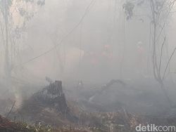 Hot Spot Bertambah, Udara di Sumsel-Jambi Sore Ini Tidak Sehat