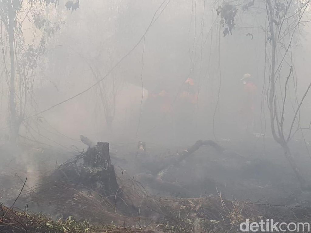 Karhutla Belum Padam, Udara di Kalteng-Kalbar-Riau Berbahaya!