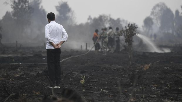 Koalisi Indonesia: Pemerintah Tahu Karhutla Terorganisasi