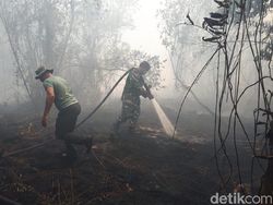Kodam Sriwijaya Tambah 100 Personel Atasi Karhutla