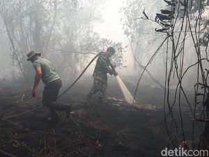 Sigapnya Petugas Padamkan Karhutla yang Nyaris Menyambar Rumah Warga