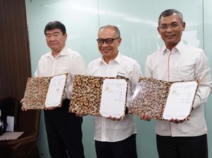 Hutama Karya Garap Proyek Kilang Minyak Pertamina di Ibu Kota Baru