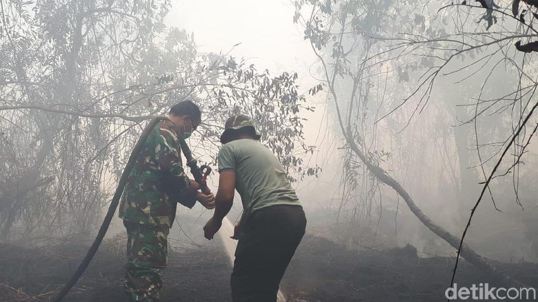 Seberapa Aman Ibu Kota Baru Dari Kebakaran Hutan?