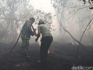 Seberapa Aman Ibu Kota Baru Dari Kebakaran Hutan?
