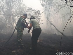 Seberapa Aman Ibu Kota Baru Dari Kebakaran Hutan?