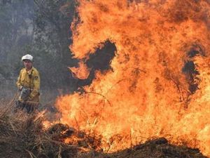 Belajar dari Cara Australia Atasi Kebakaran Hutan Tanpa Air