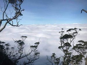 Puncak Gunung Mutis yang Eksotis