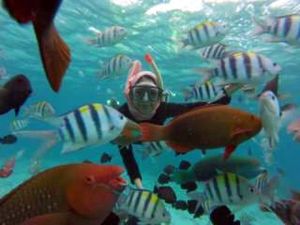 Selfie Bareng Ikan-ikan Cantik Pulau Rubiah, Bikin Kangen