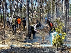 60,5 Hektare Hutan di Ponorogo Terbakar Selama Empat Bulan